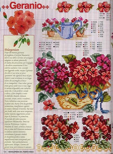 115515-4711f-41678351-m750x740-u0ad99