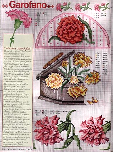 115515-08906-41678333-m750x740-u271e0