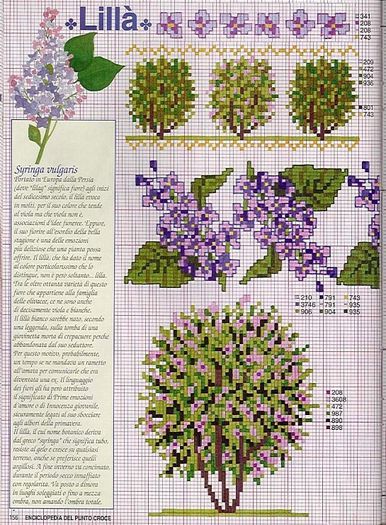 115515-9122f-41675277-m750x740-ua16ed