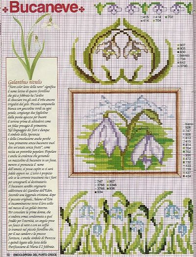 115515-17596-41678215-m750x740-u03a5a