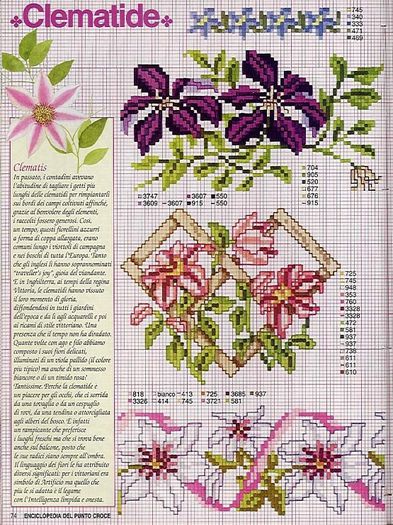 115515-34230-41678246-m750x740-ua125d