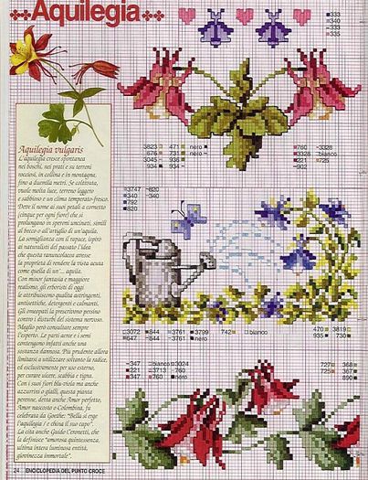 115515-46564-41678194-m750x740-u3dbe2