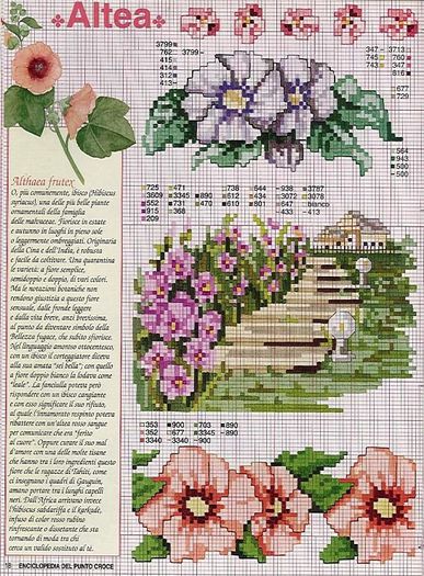 115515-60622-41678188-m750x740-u0d3e4 - cusaturi 10