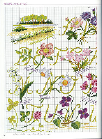 115515-66642-34028512-m750x740-u4b237 - cusaturi 10