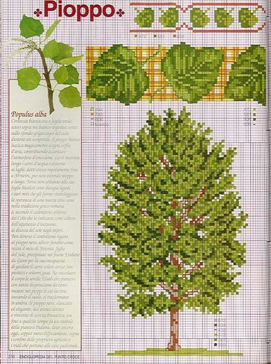 115515-a629e-41675265-m750x740-u59edf - cusaturi 10