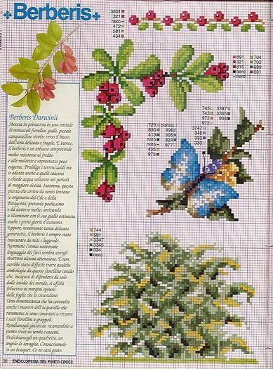 115515-afb19-41675509-m750x740-ue3b01 - cusaturi 10