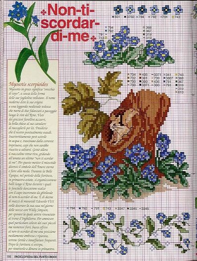 115515-b4b64-41678489-m750x740-u261ba - cusaturi 10