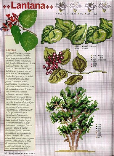 115515-c6d2e-41675318-m750x740-uf813b - cusaturi 10