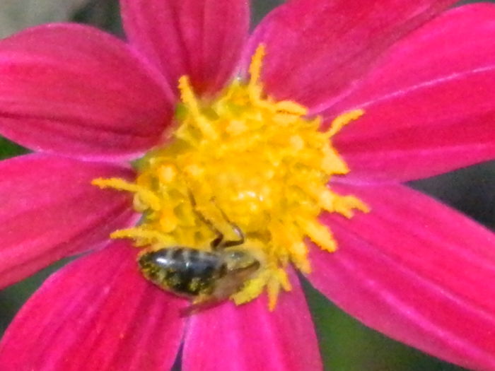 DSCN8132 - SEPTEMBRIE_2014