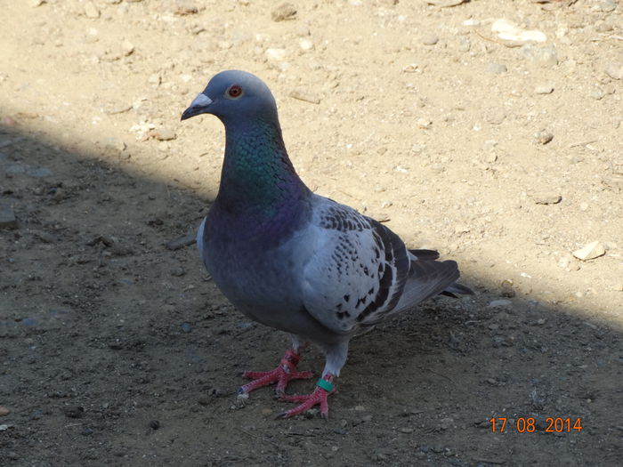 DSC07051