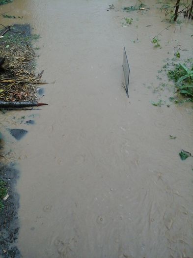 poteca gradinii - in urma avertizari meteo
