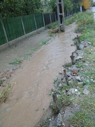 parau din fata curti - in urma avertizari meteo