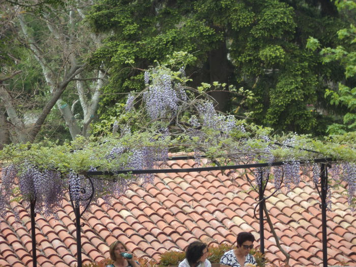 057 - BALCIC 2013
