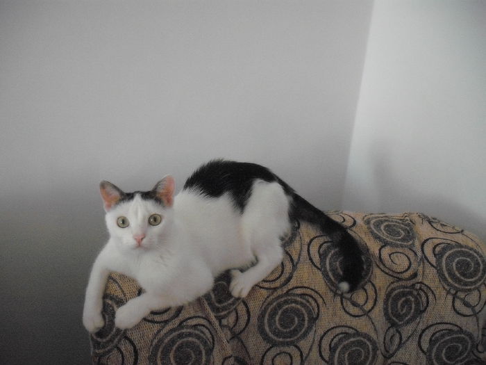 DSCF1343 - FELIX