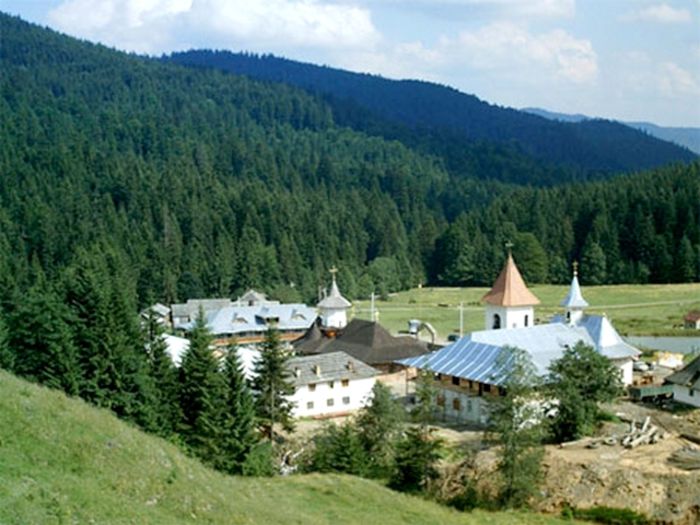 VEDERE MANASTIREA PETRU VODA