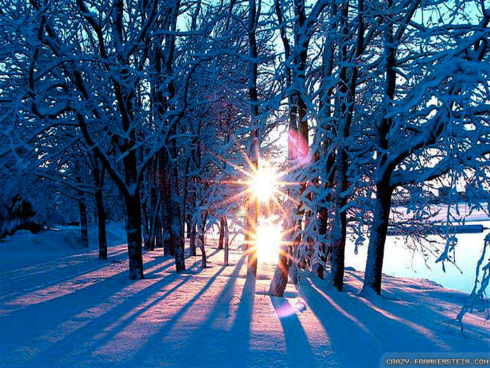 winter-sun-wallpapers-1024x768 - Winter