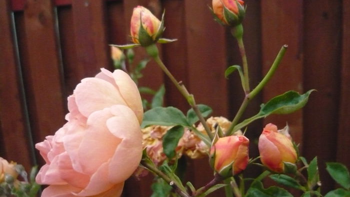 053