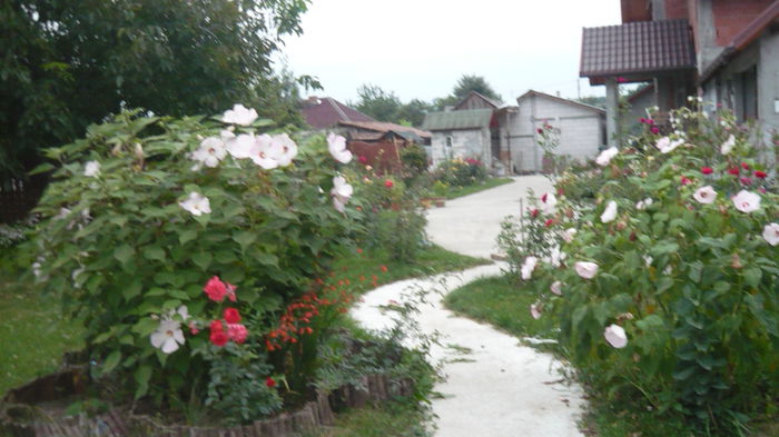 060 - 2014 vara