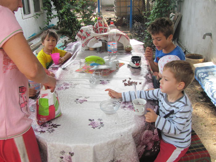IMG_1856 - vara 2014