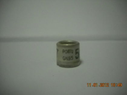 59418627_BJHIUTD - PORTUGALIA
