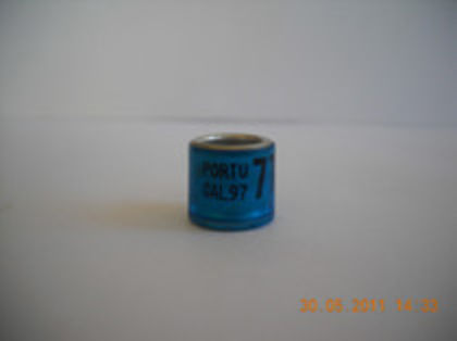 37898062_EIYJYFJZF - PORTUGALIA