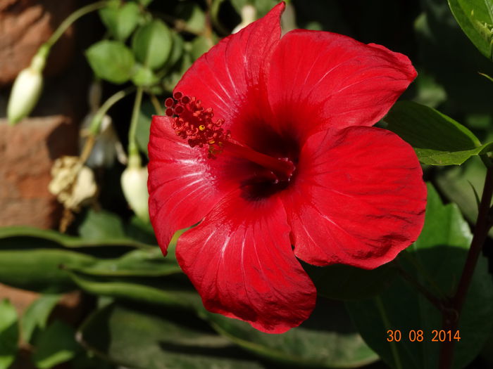 DSC07488