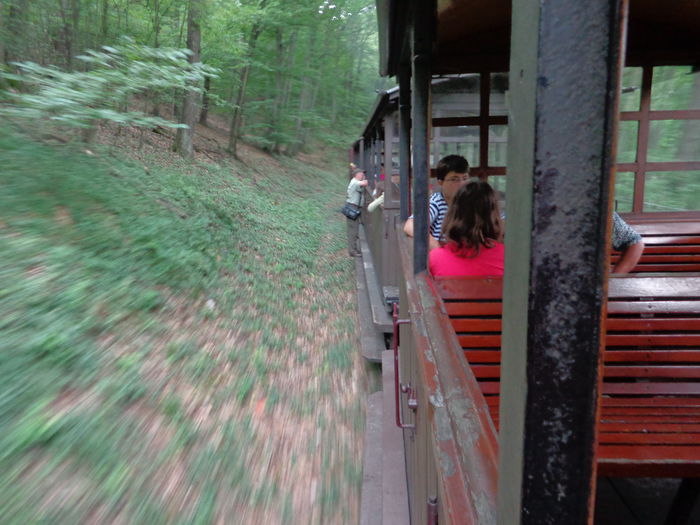 Cu mocanita(Miskolc 2014) - Plimbari