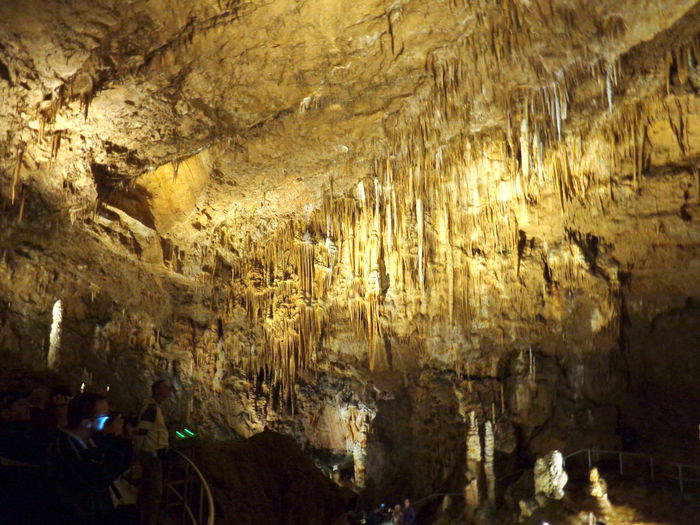 Pestera Baradla (Unngaria 2014)