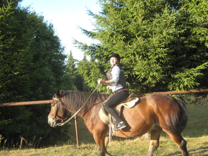 Picture 110 - comorile mele
