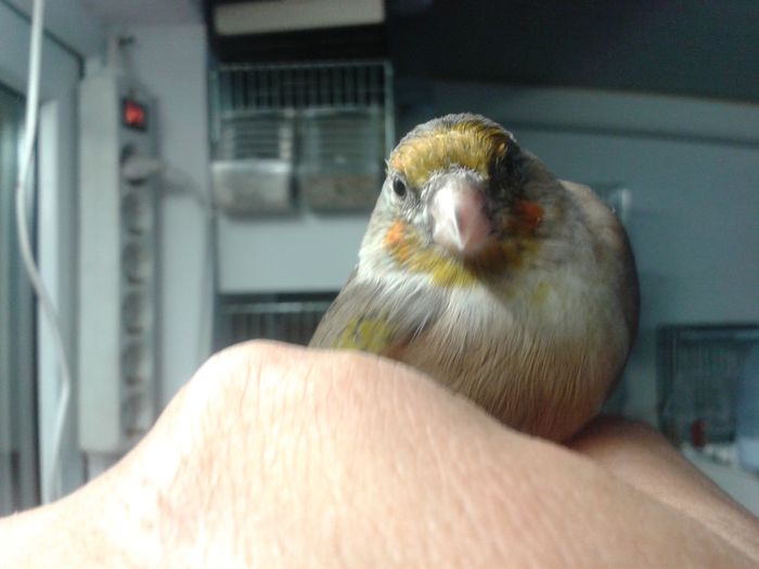 2014-09-04 19.36.02; bastard sticlete 2ani
