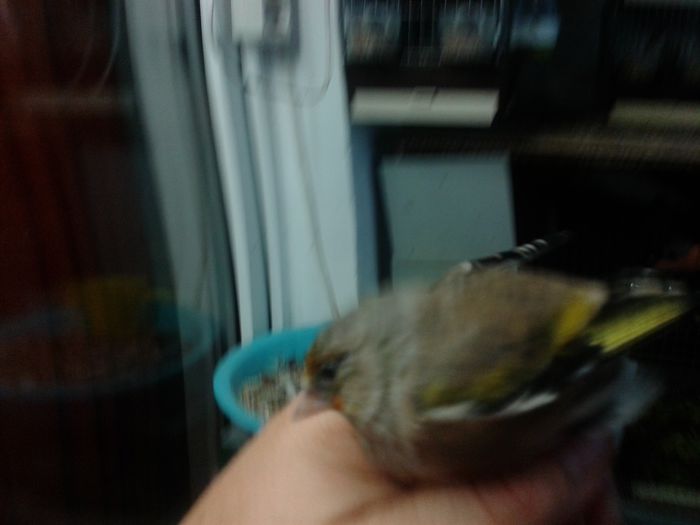 2014-09-04 19.36.04; bastard sticlete 2ani
