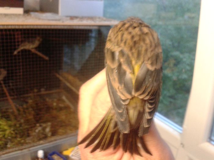 2014-09-04 19.51.08; bastard cu cinepar
