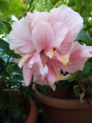 DSC03022 - sept 2014