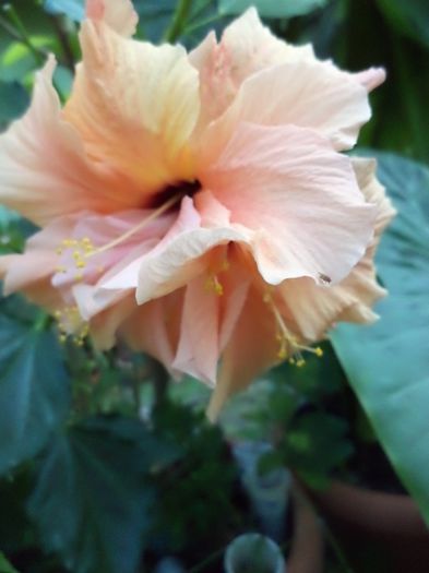 DSC03033 - sept 2014