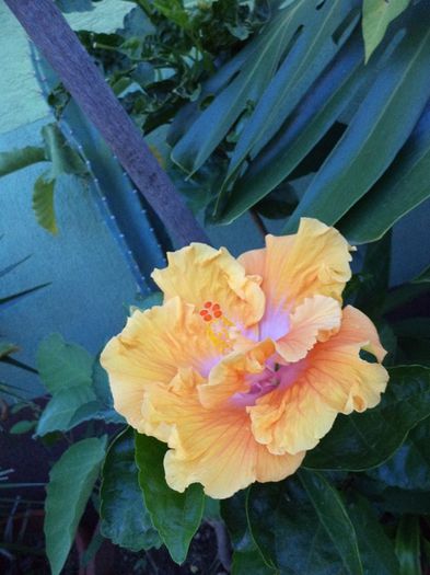 DSC03048 - sept 2014