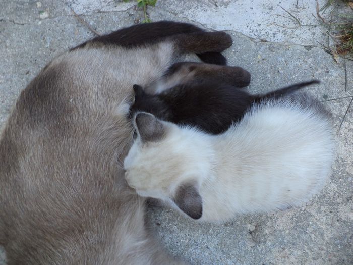 DSC03063 - sept 2014