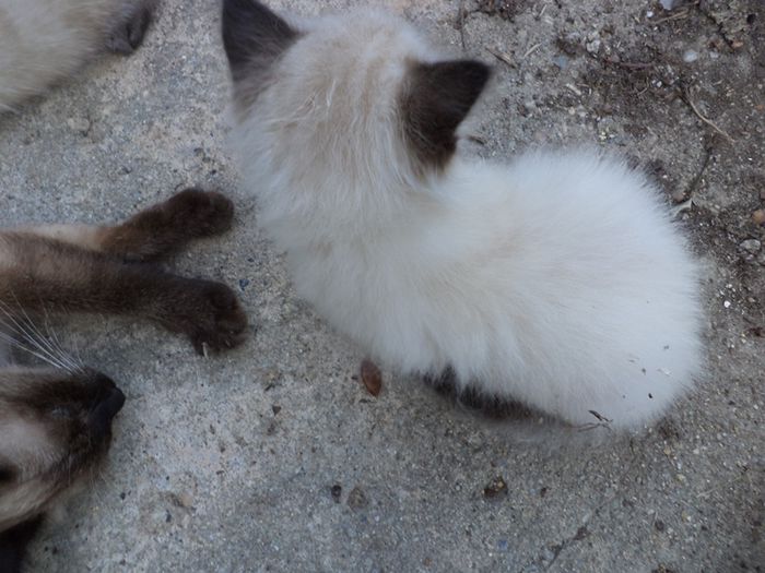 DSC03065 - sept 2014