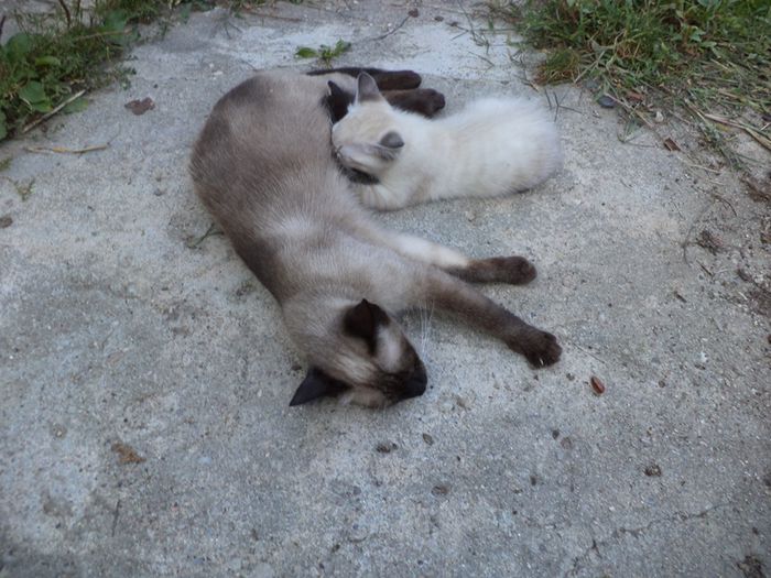 DSC03069 - sept 2014