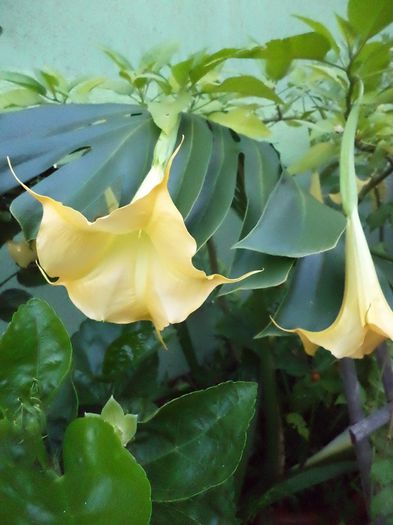 DSC03106 - sept 2014