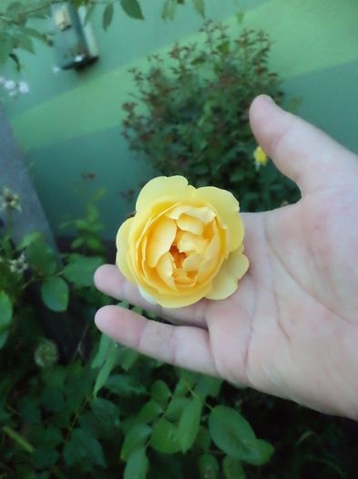 DSC03110 - sept 2014