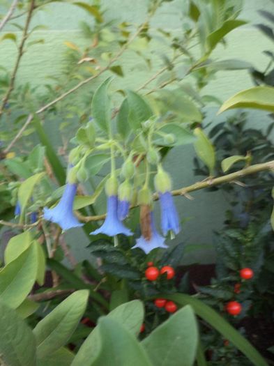 DSC03115 - sept 2014