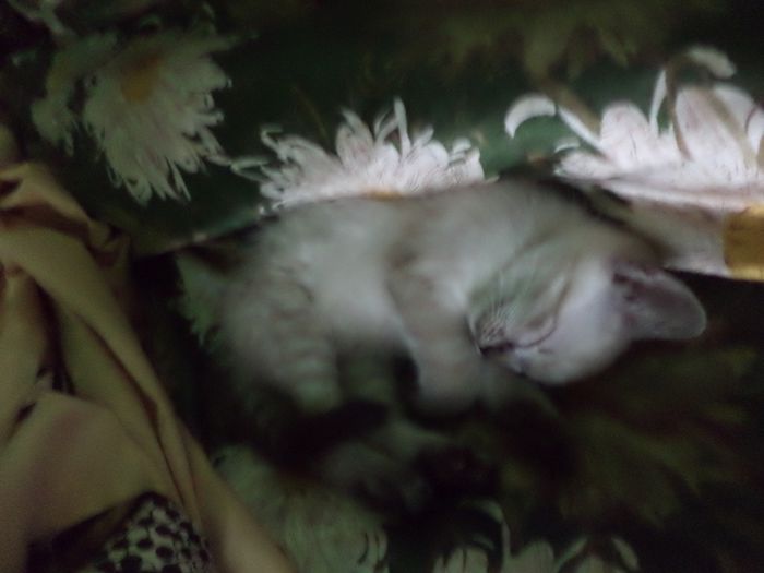 DSC03142 - sept 2014