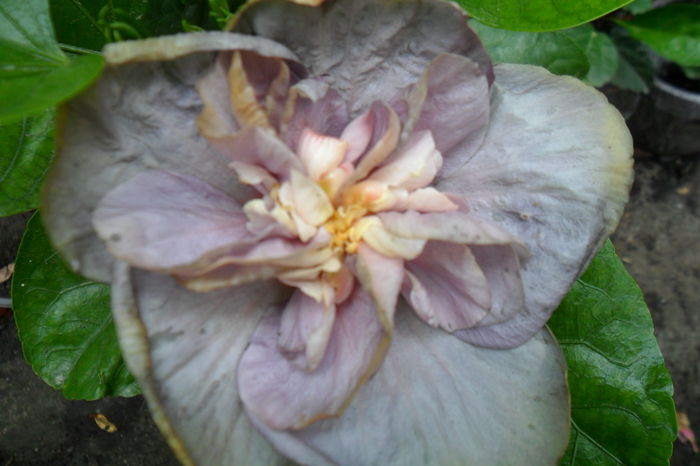 Picture 028 - talmes-balmes2014