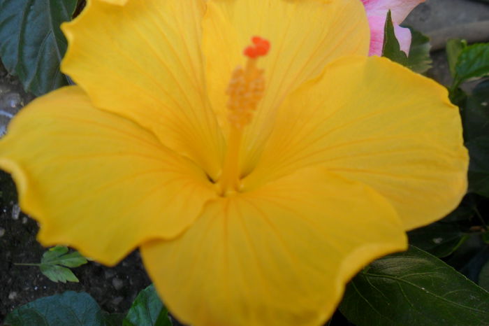 Picture 078 - talmes-balmes2014