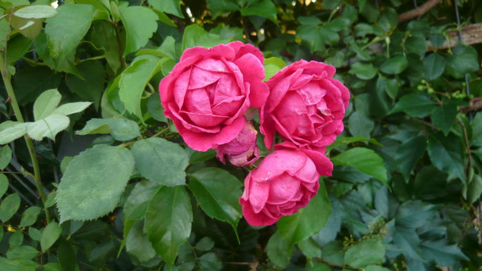 061