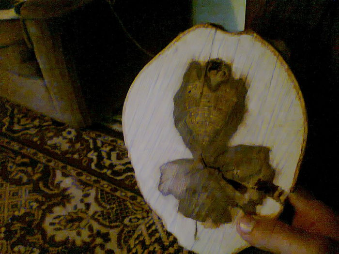 Fotografie0070 - copia