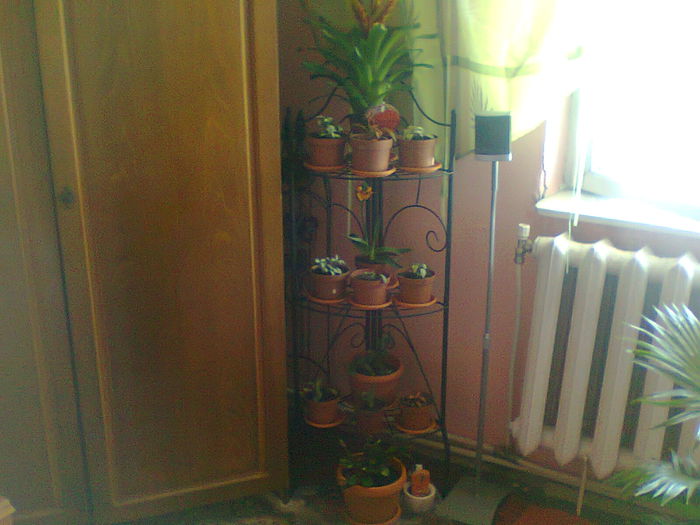 Fotografie0127 - copia