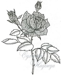 238247-c0a0d-45488810-m750x740-u304ff