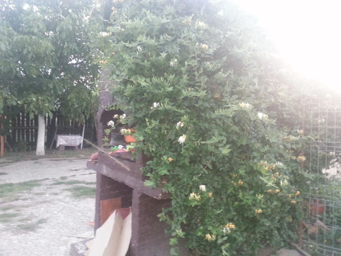 20140819_203300
