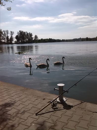 IMG_20130925_115731